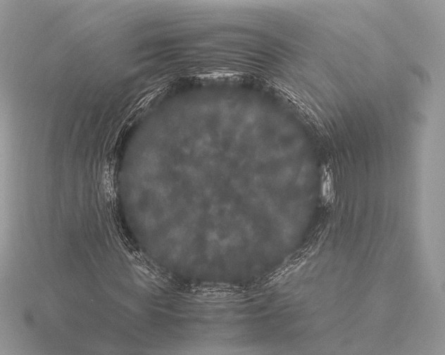 X0000115740819200912031425