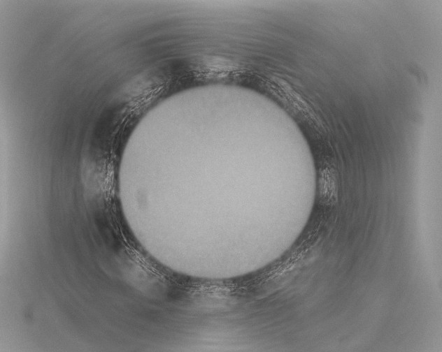 X0000115740820200912031425