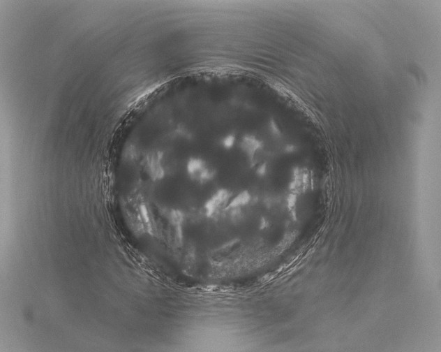 X0000115740822200912031425