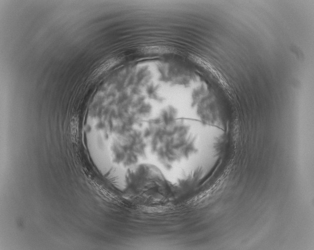 X0000115740825200912031425