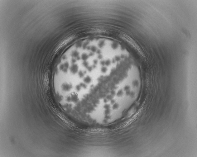 X0000115740826200912031425