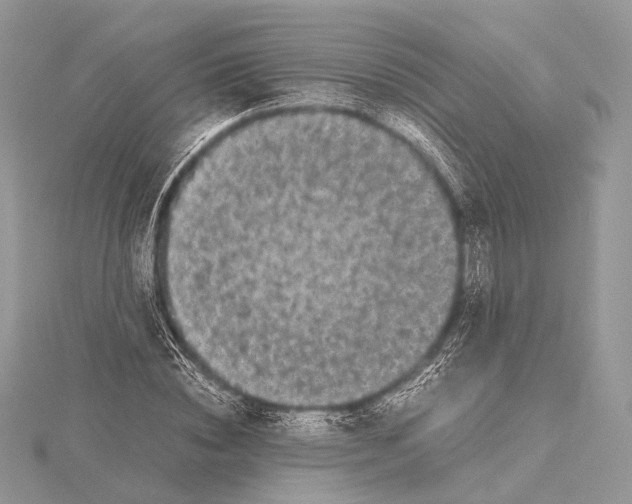 X0000115740828200912031425