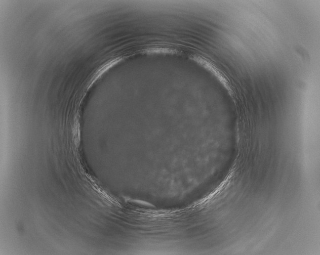 X0000115740829200912031425