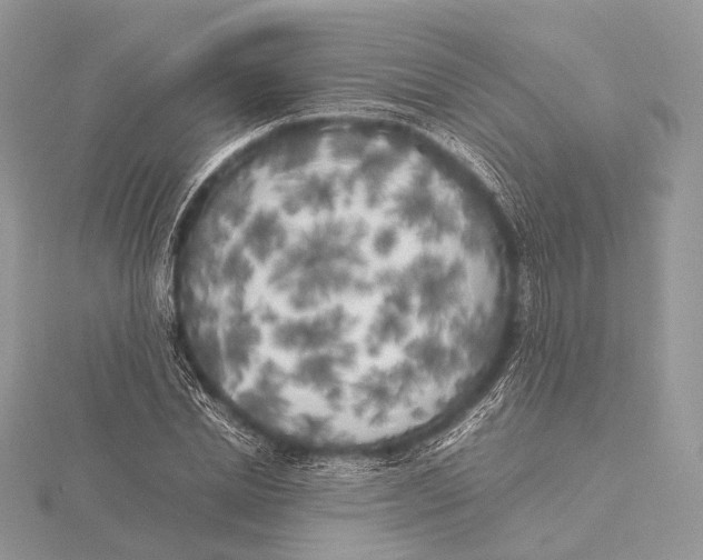 X0000115740830200912031425