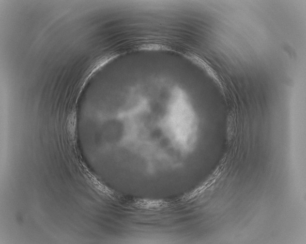 X0000115740831200912031425