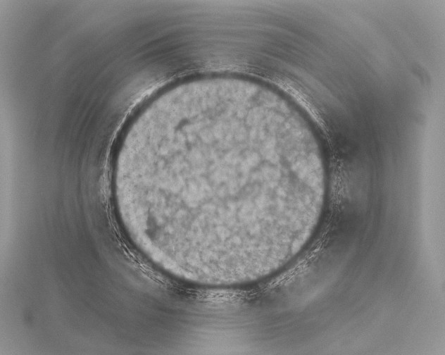 X0000115740832200912031425