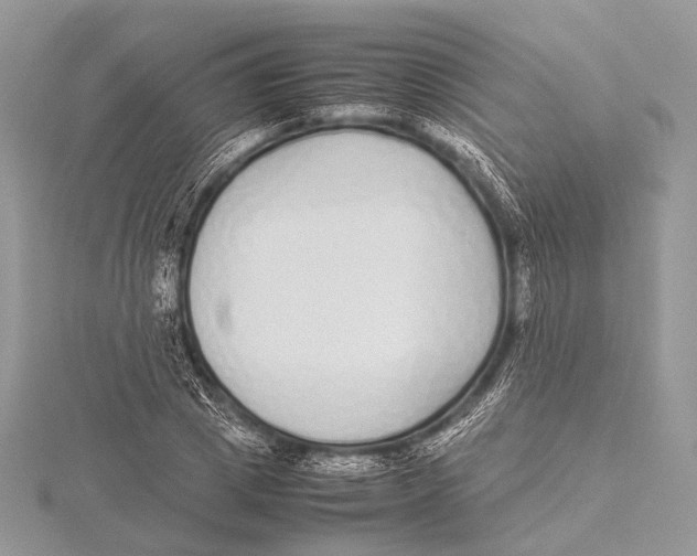 X0000115740833200912031425