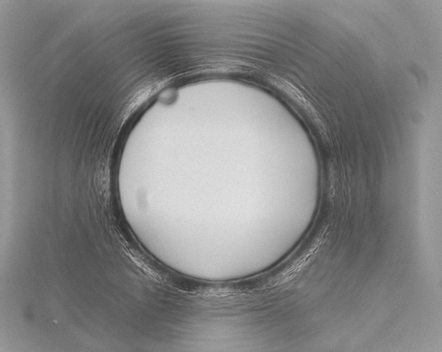 X0000115740834200912031425