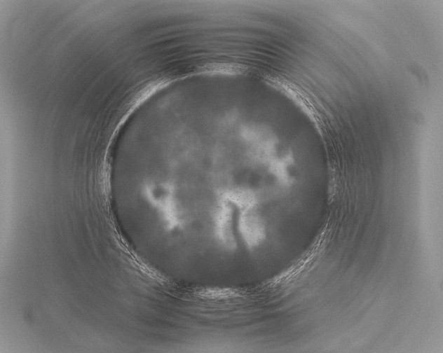 X0000115740835200912031425