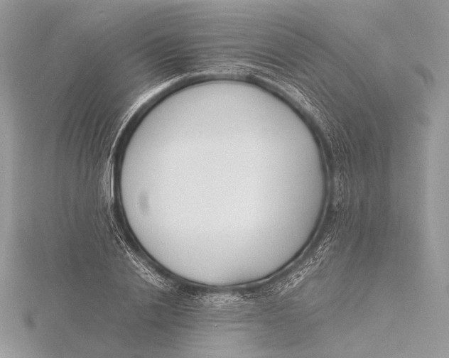 X0000115740838200912031425