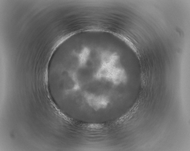 X0000115740839200912031425