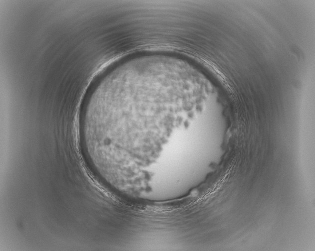 X0000115740840200912031425