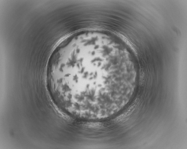 X0000115740845200912031426