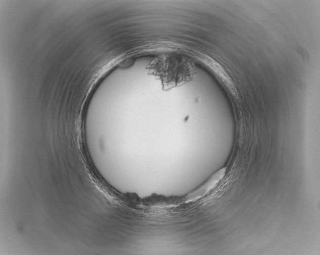 X0000115740850200912031426