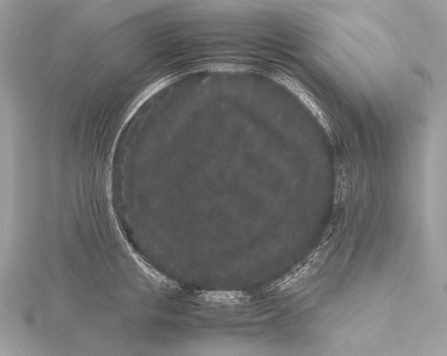 X0000115740853200912031426