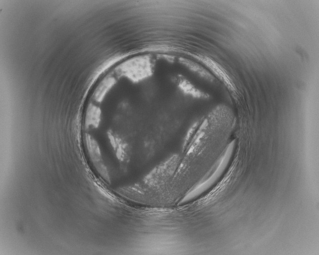 X0000115740854200912031426