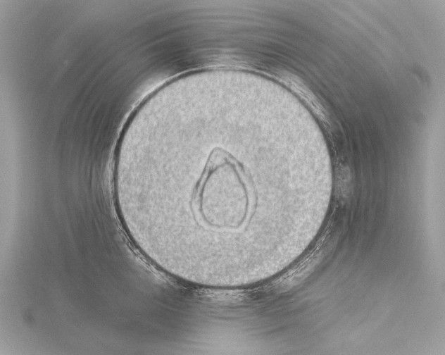 X0000115740856200912031426