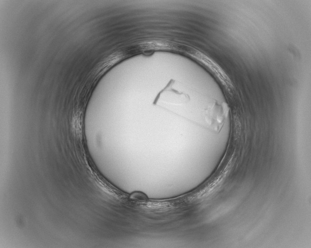 X0000115740857200912031426