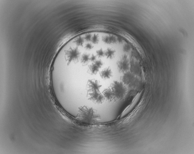 X0000115740858200912031426