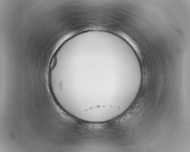 X0000115740861200912031426