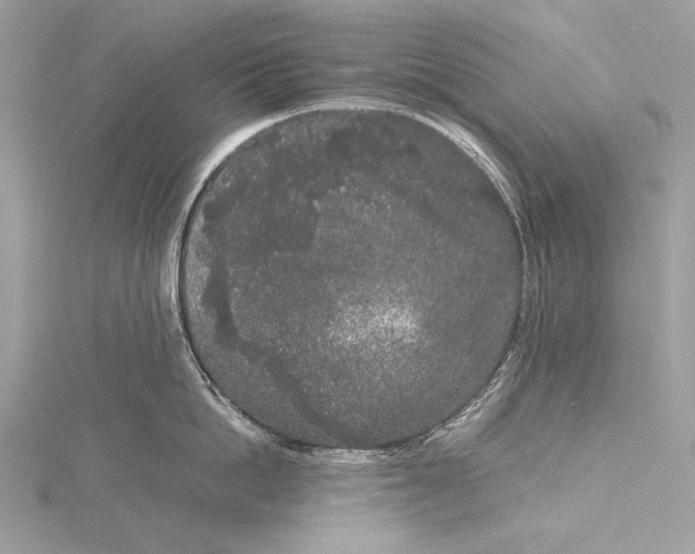 X0000115740862200912031426