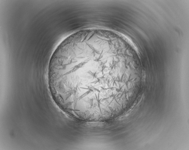 X0000115740863200912031426