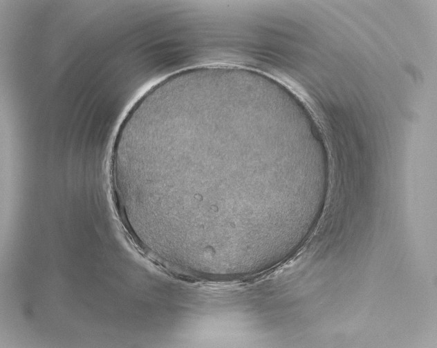 X0000115740864200912031426