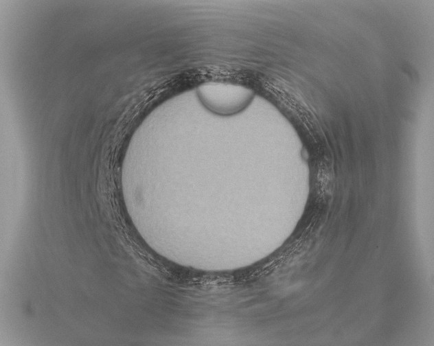 X0000115740865200912031425