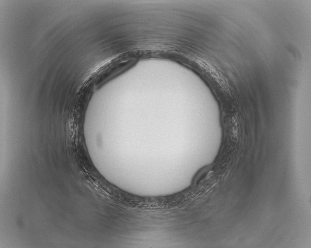 X0000115740872200912031425