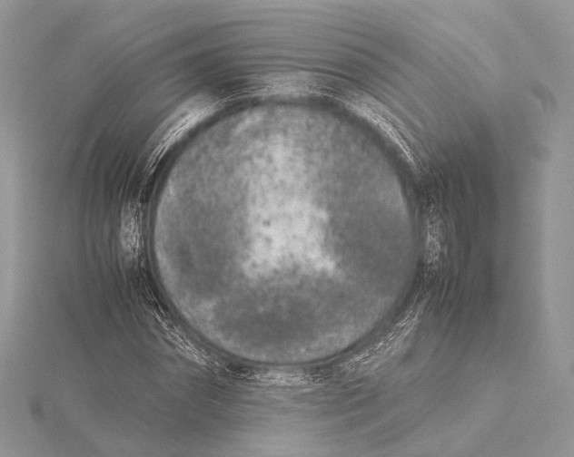 X0000115740874200912031425