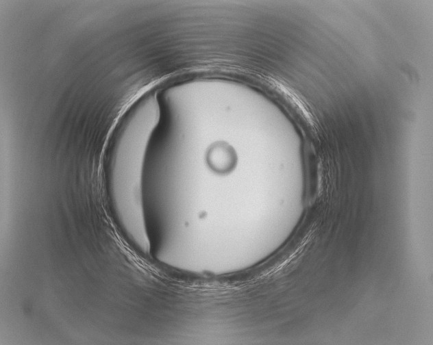 X0000115740876200912031425