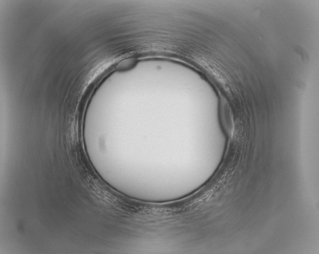 X0000115740877200912031425