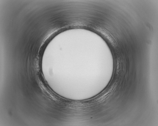 X0000115740878200912031425