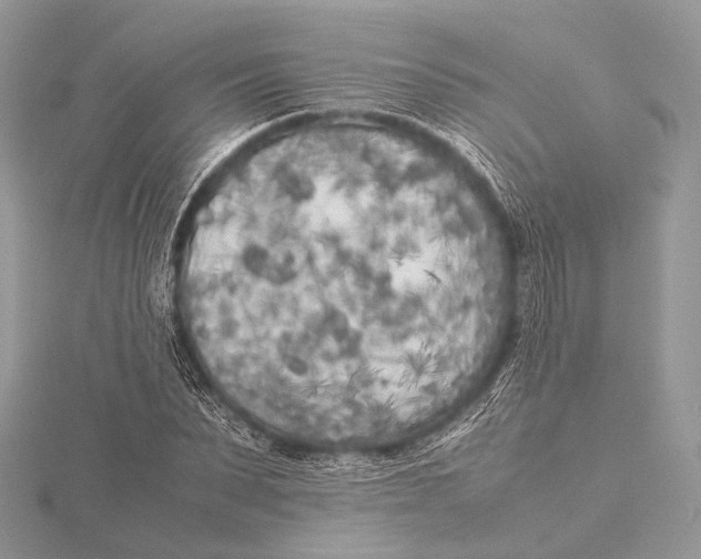 X0000115740879200912031425