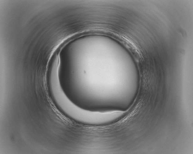 X0000115740880200912031425