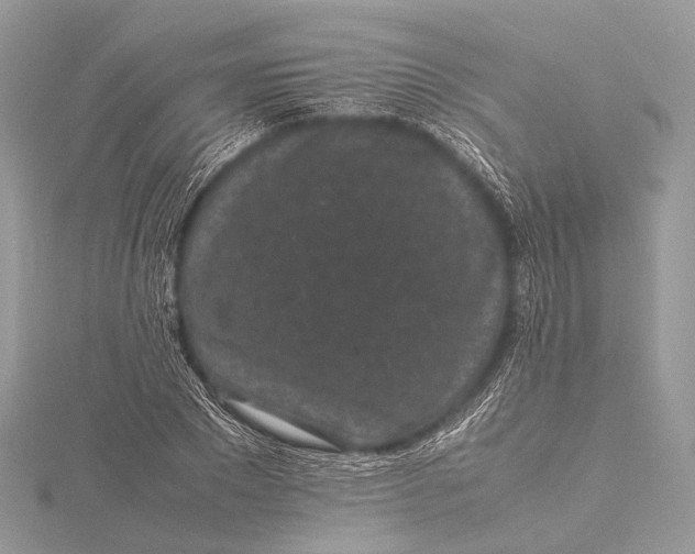 X0000115740881200912031425