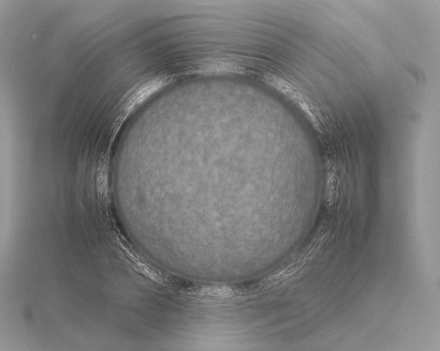 X0000115740882200912031425