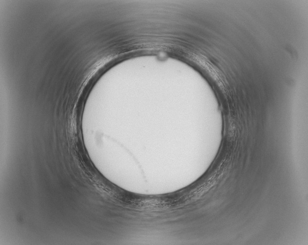 X0000115740883200912031425