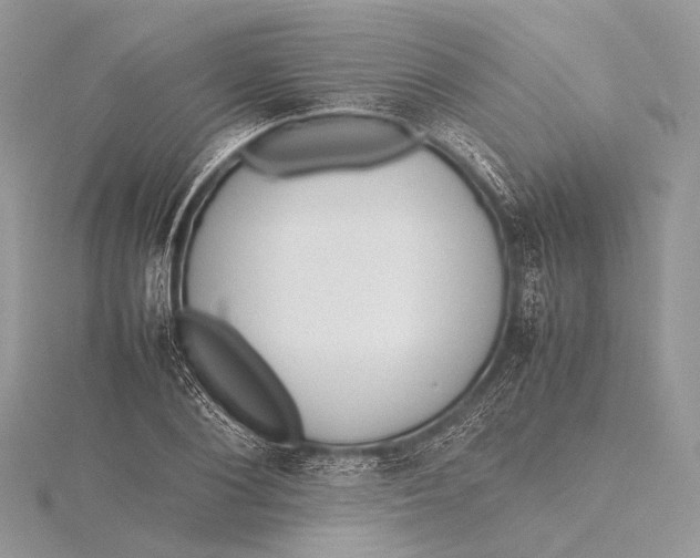 X0000115740884200912031425