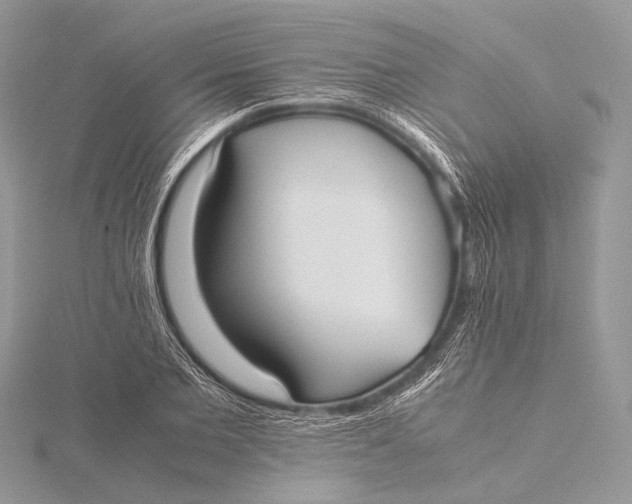 X0000115740885200912031425