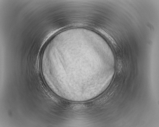 X0000115740886200912031425