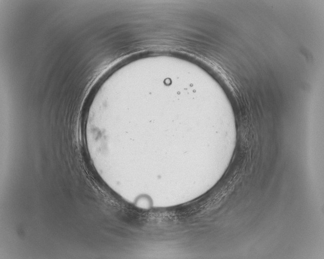 X0000115740887200912031425