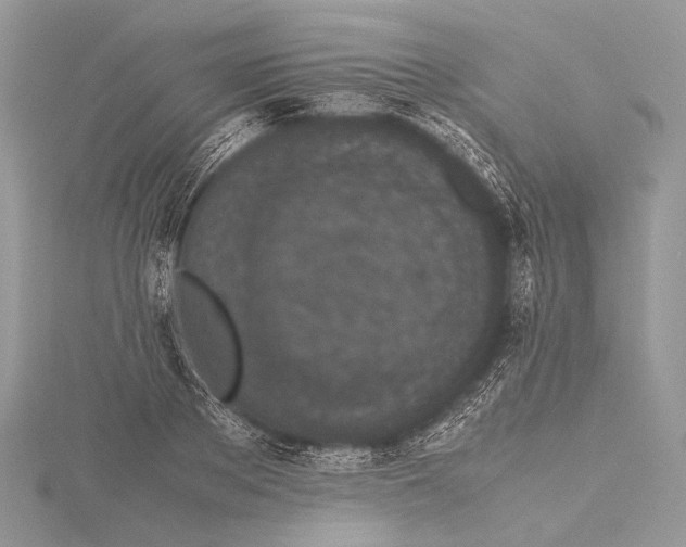 X0000115740889200912031425