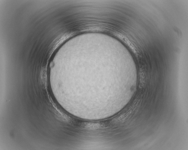 X0000115740890200912031425