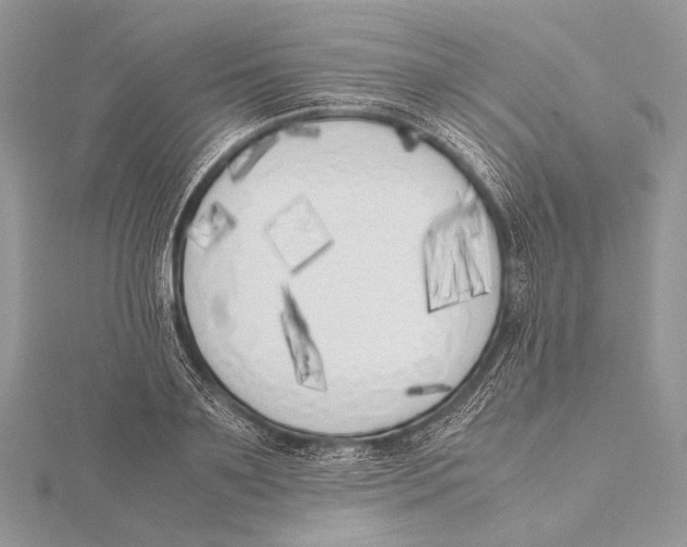 X0000115740891200912031425