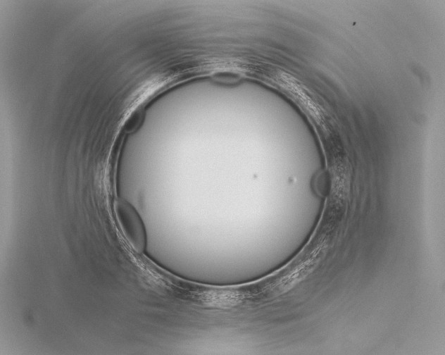 X0000115740893200912031425