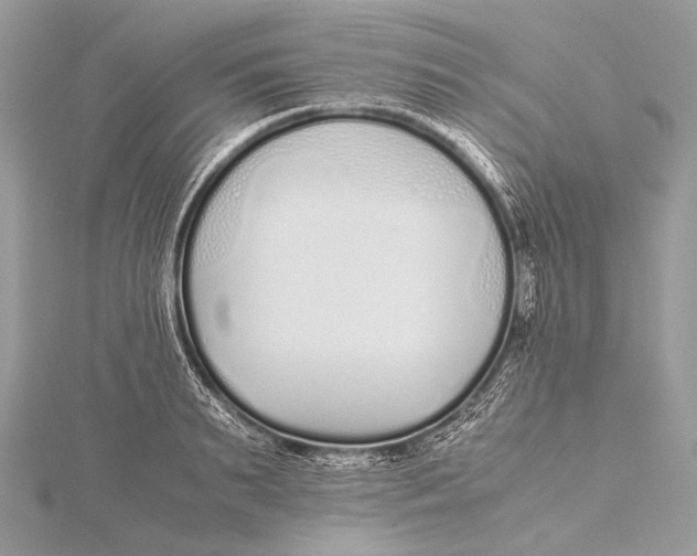 X0000115740895200912031425