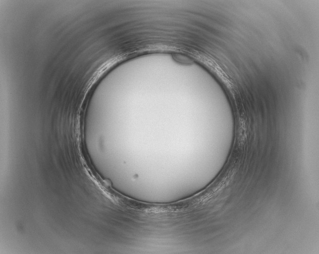 X0000115740898200912031425