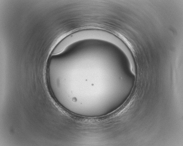 X0000115740901200912031425