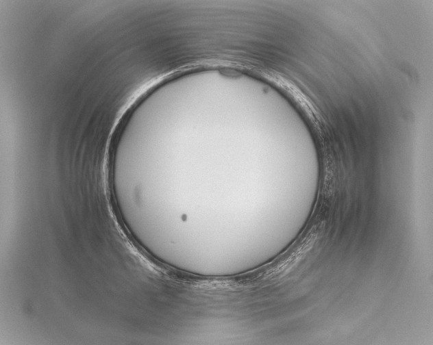 X0000115740902200912031425